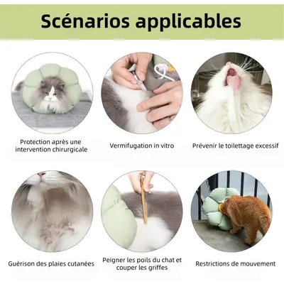 Pet Planet Collier Récupération Anti - Léchage Réglable Imperméable Chats