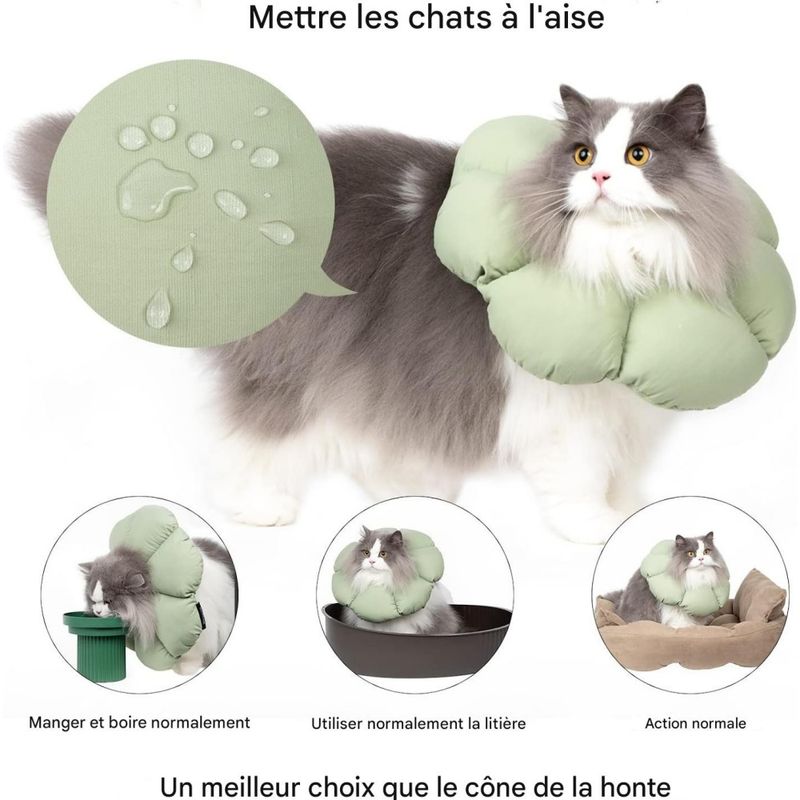 Pet Planet Collier Récupération Anti - Léchage Réglable Imperméable Chats