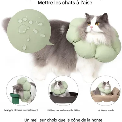 Pet Planet Collier Récupération Anti - Léchage Réglable Imperméable Chats