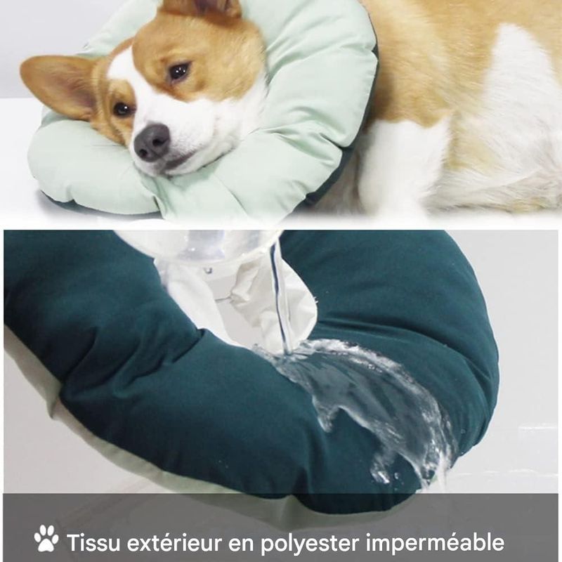 Pet Planet Collier De Récupération Réglable Imperméable pour Chats
