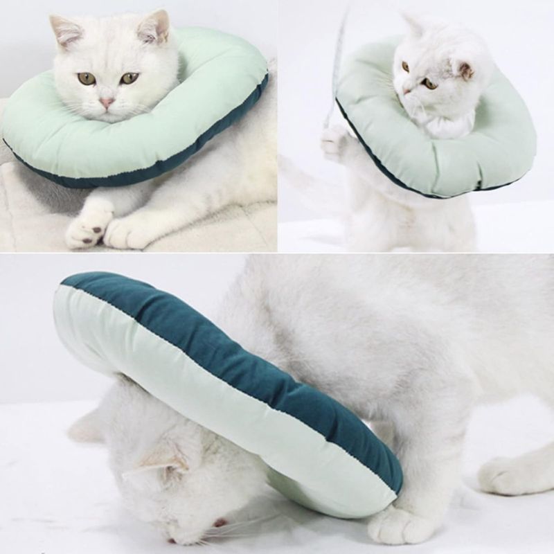 Pet Planet Collier De Récupération Réglable Imperméable pour Chats