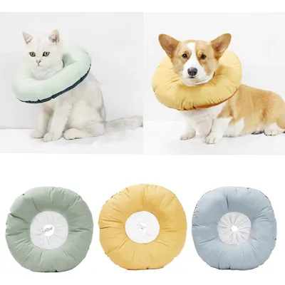 Pet Planet Collier De Récupération Réglable Imperméable pour Chats