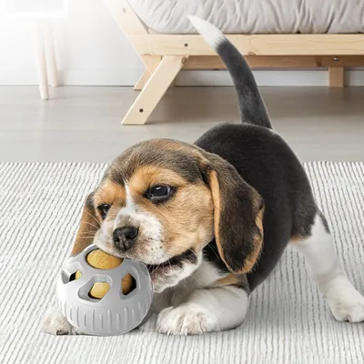 UAMLY Boule anti-fuite pour mangeoire pour chien