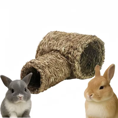 Pet Planet Farm Tunnel de foin pour rongeur et lapin