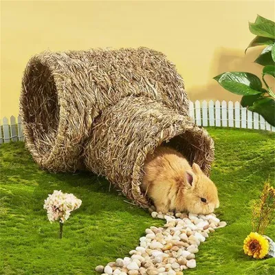 Pet Planet Farm Tunnel de foin pour rongeur et lapin