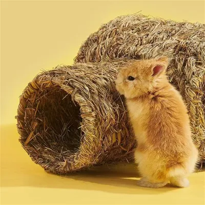 Pet Planet Farm Tunnel de foin pour rongeur et lapin