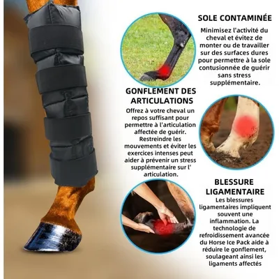 ZooVenture Guêtres De Refroidissement En Gel Réutilisables Pour Chevaux