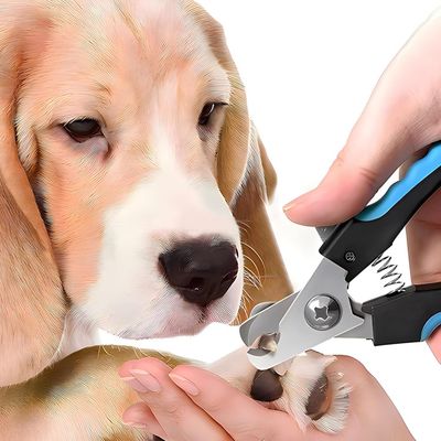 FurryFusion Coupe - griffes pour chien et chat