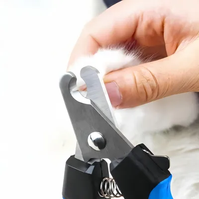 FurryFusion Coupe - griffes pour chien et chat