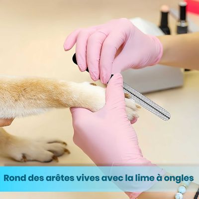 FurryFusion Coupe - griffes pour chien et chat