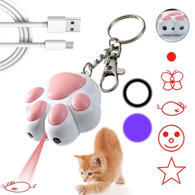 IntiMeg Stylo laser pour chat