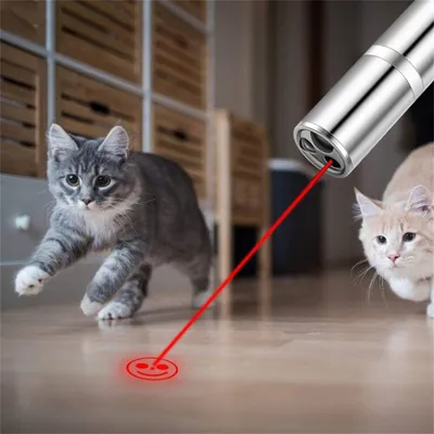 Pet Planet Jouet interactif pour chats et chiens avec LED