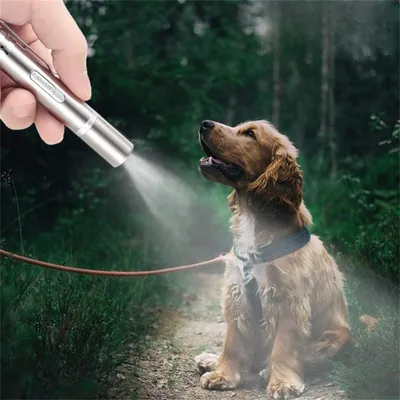 Pet Planet Jouet interactif pour chats et chiens avec LED