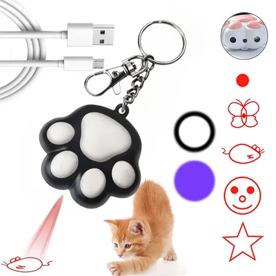 IntiMeg Stylo laser pour chat