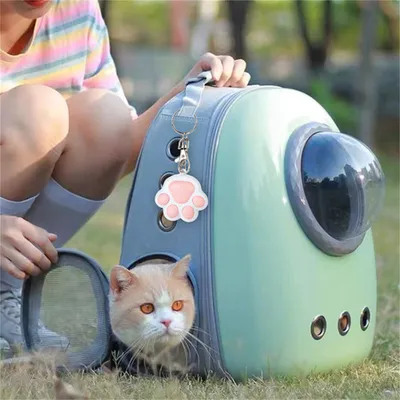 IntiMeg Stylo laser pour chat