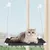 ZenPets Hamac pour animal de compagnie