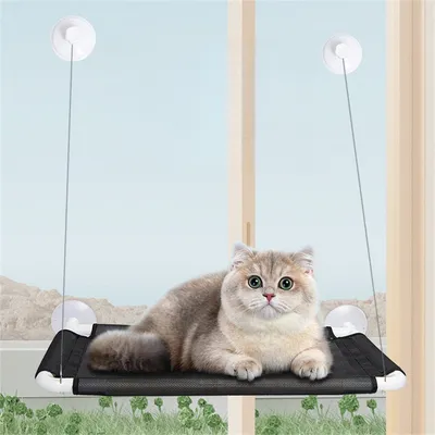 ZenPets Hamac pour animal de compagnie