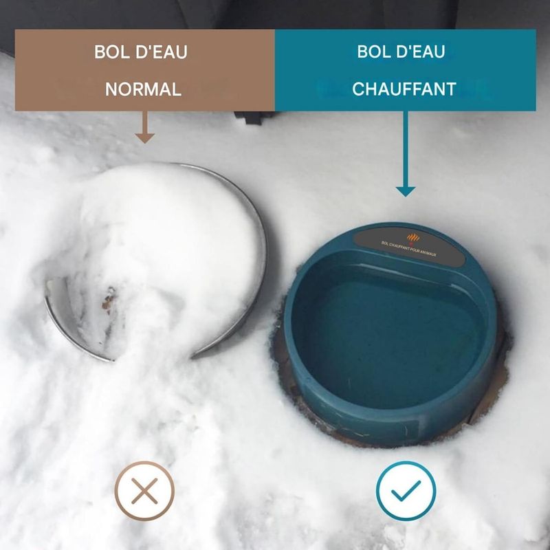 ZenPets Gamelle chauffante pour animaux