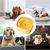 ZenPets Fontaine à eau pour chiots