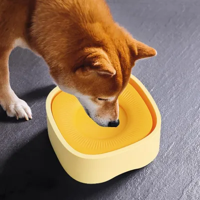 ZenPets Fuente de agua para cachorros