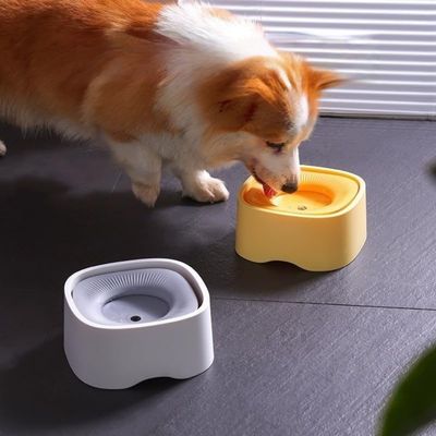 ZenPets Fontaine à eau pour chiots