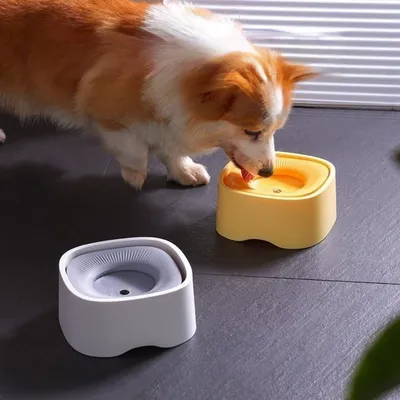 ZenPets Fuente de agua para cachorros