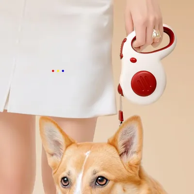 ZenPets Corde télescopique automatique pour animal de compagnie