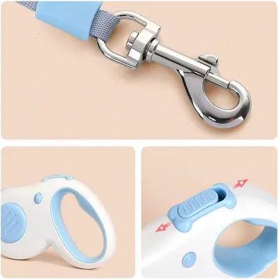 ZenPets Corde télescopique automatique pour animal de compagnie