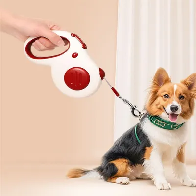 ZenPets Corde télescopique automatique pour animal de compagnie