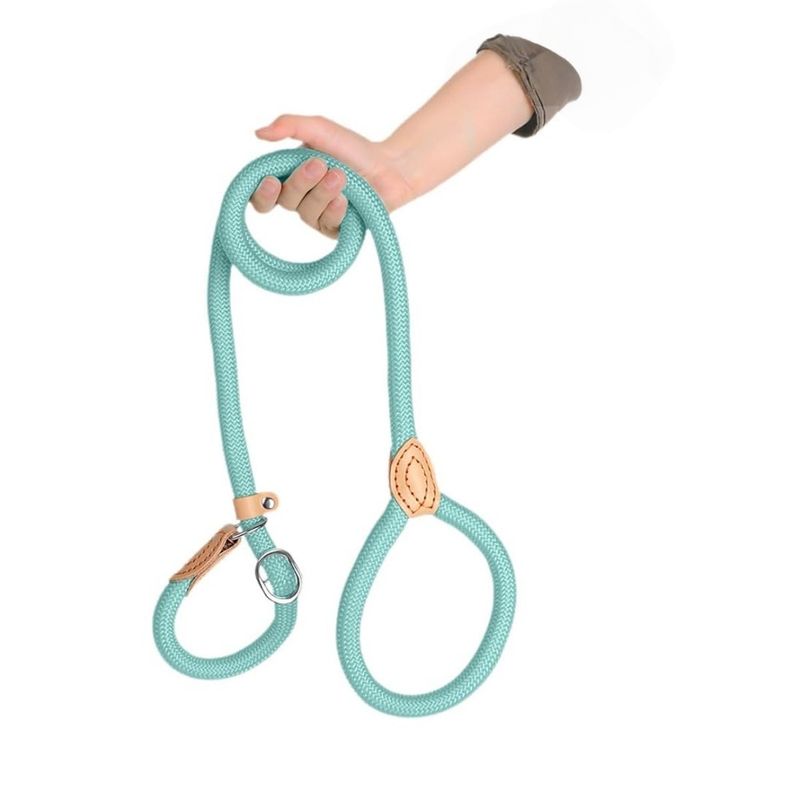 ZenPets Laisse en nylon pour dressage canin