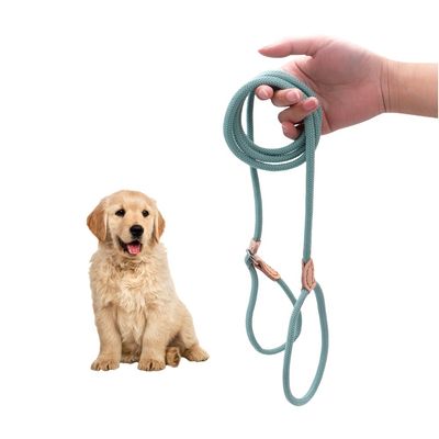 ZenPets Laisse en nylon pour dressage canin