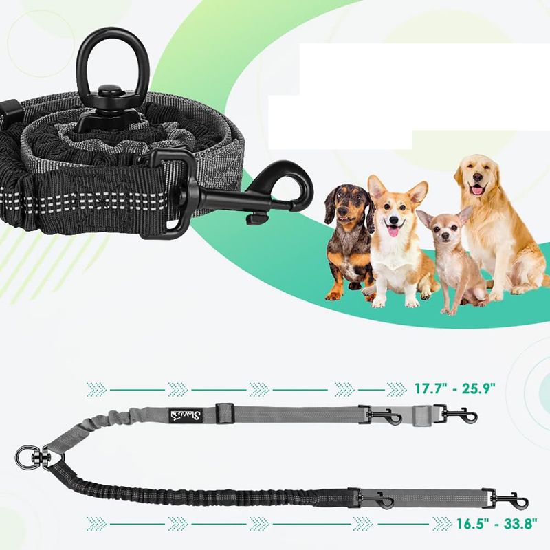 UAMLY Laisse double pour chien