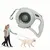 FurryFusion Laisse automatique pour chien FurryFusion Laisse automatique pour chien