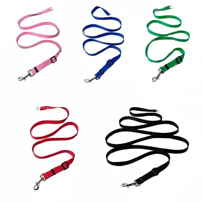 FurryFusion Longe de dressage pour chien