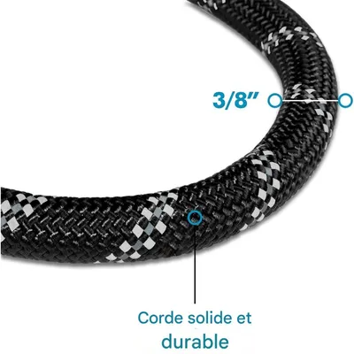 Pet Planet Laisse Et Laisse Pour Chiens