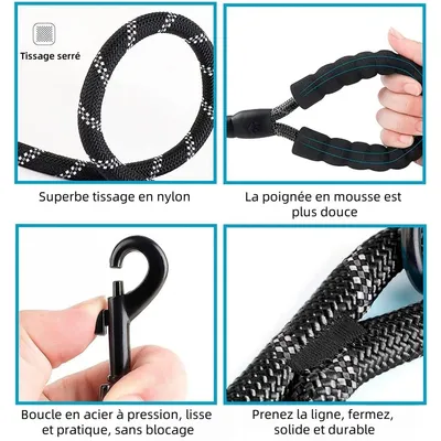 Pet Planet Laisse Et Laisse Pour Chiens