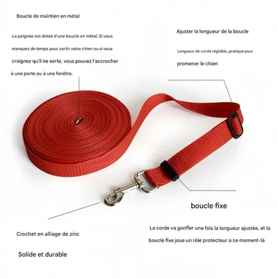 FurryFusion Longe de dressage pour chien