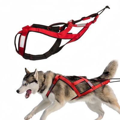 FurryFusion Laisse pour chien de course