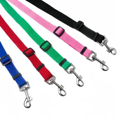 FurryFusion Longe de dressage pour chien