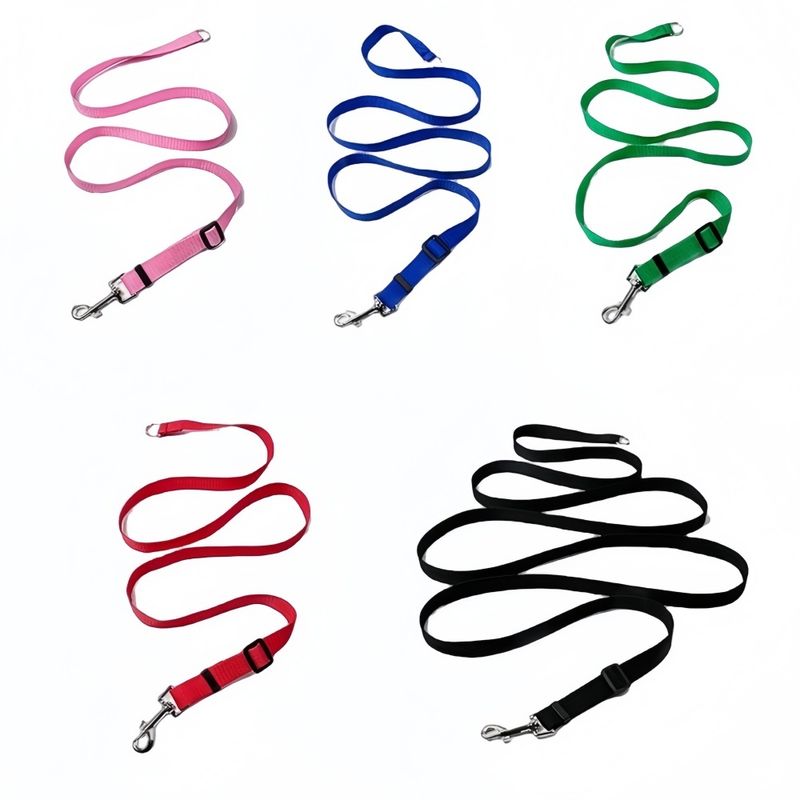FurryFusion Longe de dressage pour chien