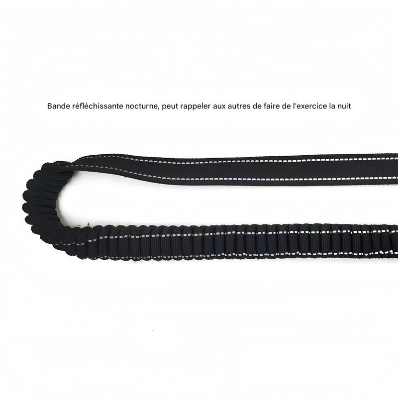 Pet Planet Corde élastique de traction vélo pour chien