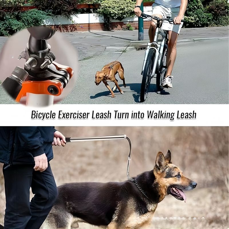 Pet Planet Corde de traction pour vélo avec chien pour l'extérieur