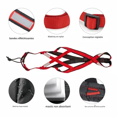 FurryFusion Laisse pour chien de course