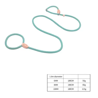 ZenPets Laisse en nylon pour dressage canin