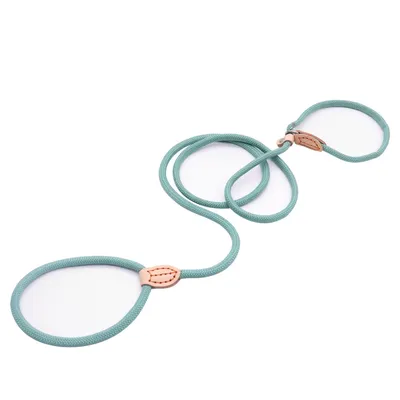 ZenPets Laisse en nylon pour dressage canin