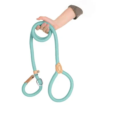 ZenPets Laisse en nylon pour dressage canin