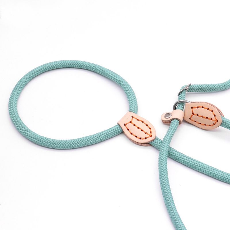 ZenPets Laisse en nylon pour dressage canin