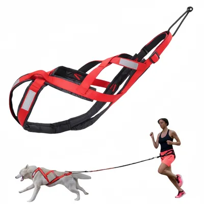 FurryFusion correa para perros de carreras