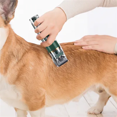 Pet Planet Tondeuse électrique pour animaux à trois vitesses