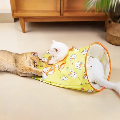 ZenPets Tunnel de jeu pour chat
